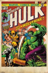 Hulk & Wolverine